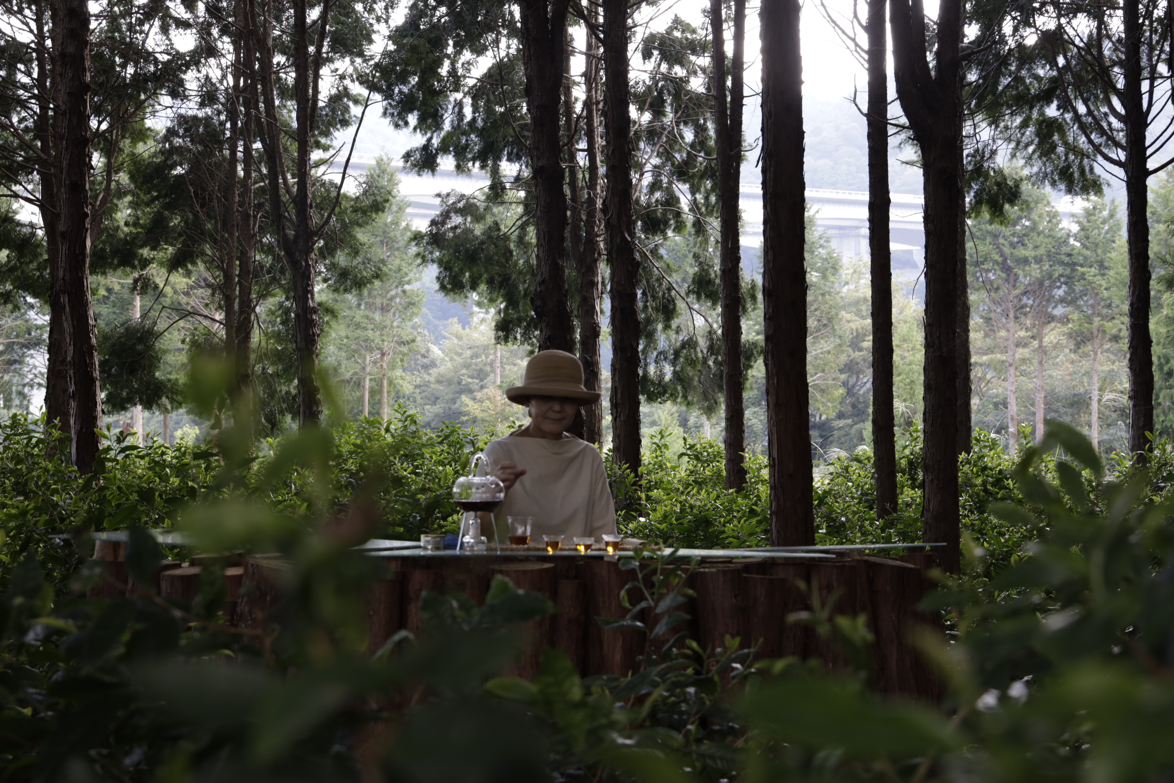 「Sustainable tea experience」～茶生産の背景を知る～