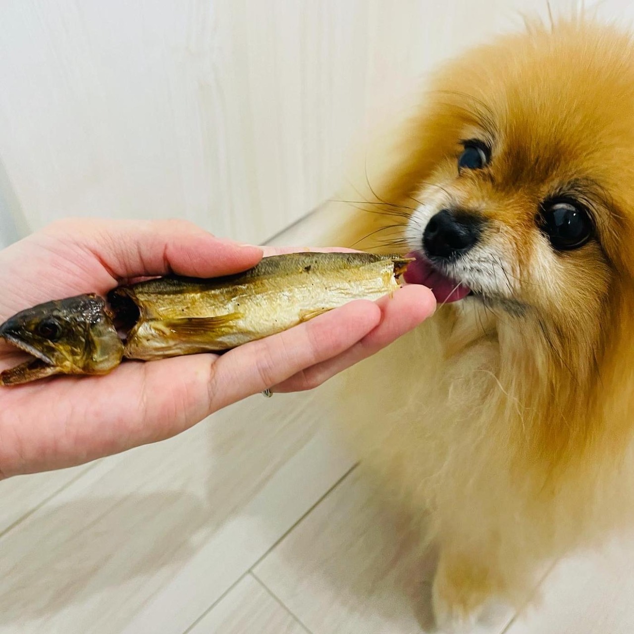 Smoked Sweetfish ［鮎の燻製］