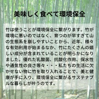 食べるbambina熟成発酵竹ぬかどこ｜bambina365