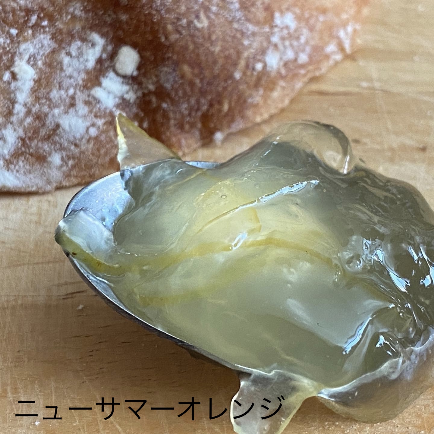 ニューサマーオレンジマーマレード