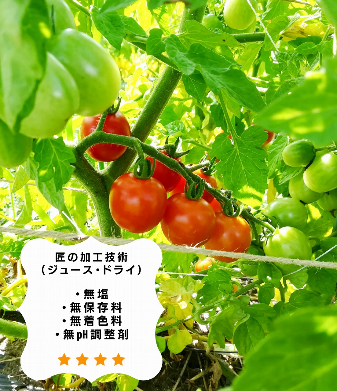 無垢のトマトジュース（プレミアム）(自然農法の有機ミニトマト100％)180ml*6本
