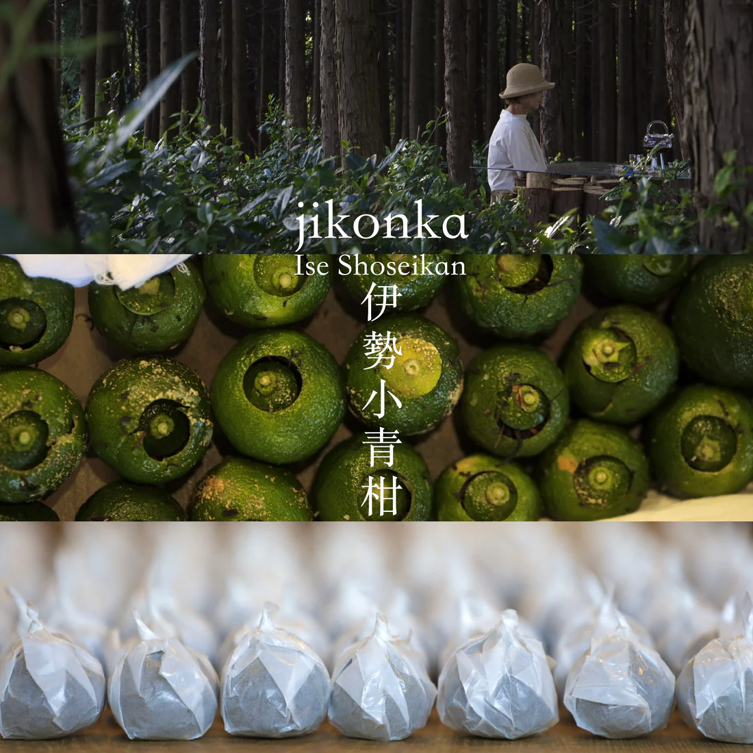 青柚子と紅茶。香る和のアロマ 「伊勢小青柑」 | Jikonka（而今禾）