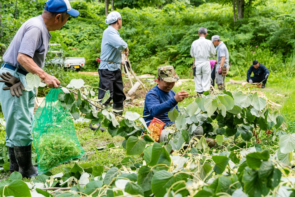 【天然成分100%熟成石鹸】しなの花石鹸365
