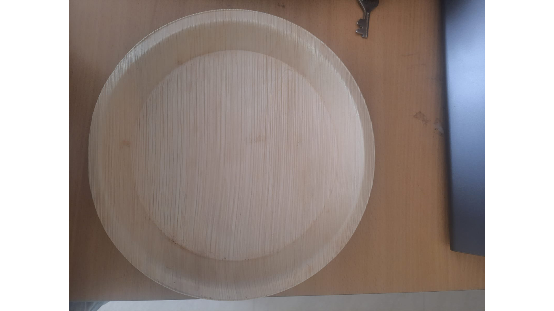 Divavi Arica Leaves Dinner Plates Export Quality 12'' Round Plate
