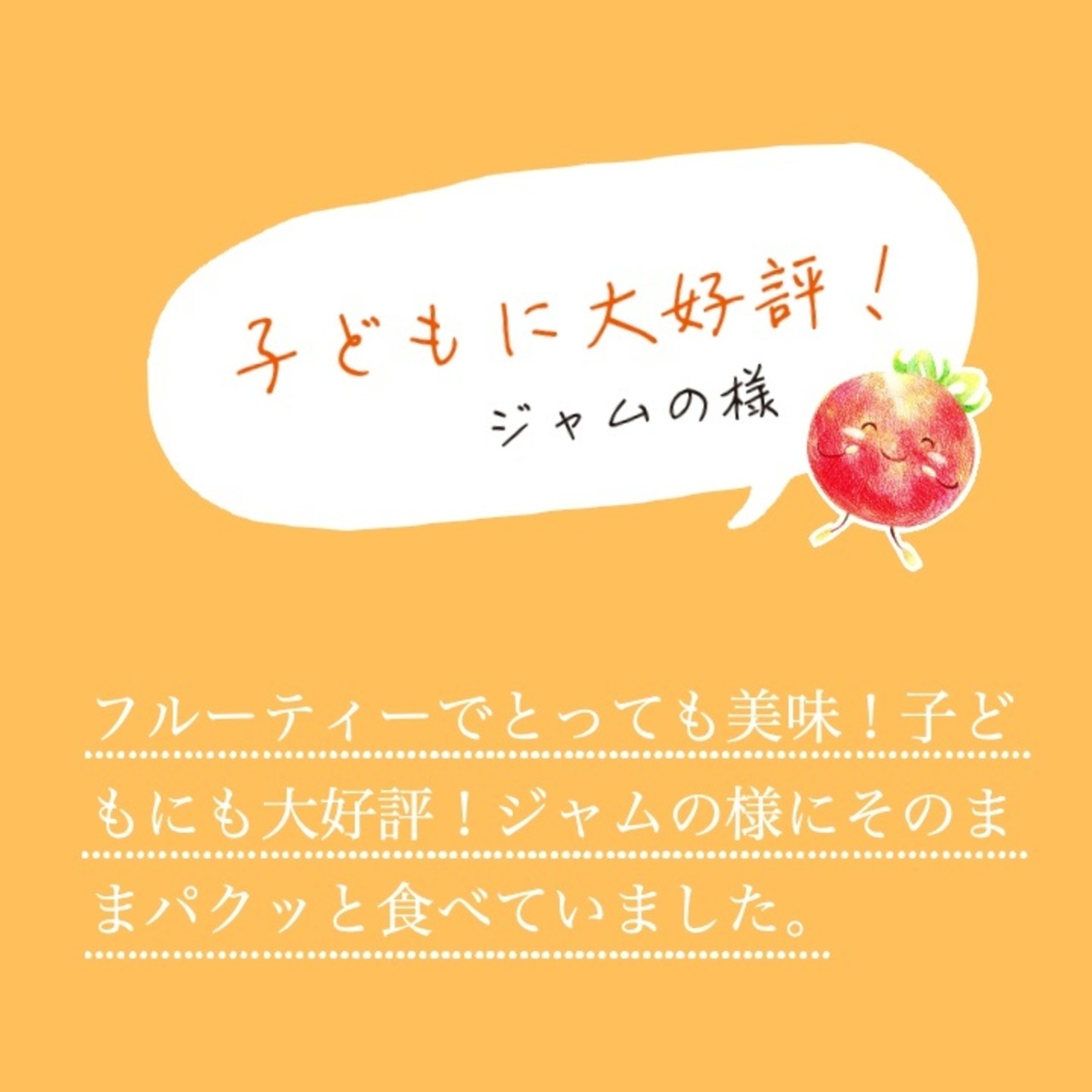完熟の旨み。南信州の純ピューレ 「無添加トマトピューレ」 ｜ 小林農園