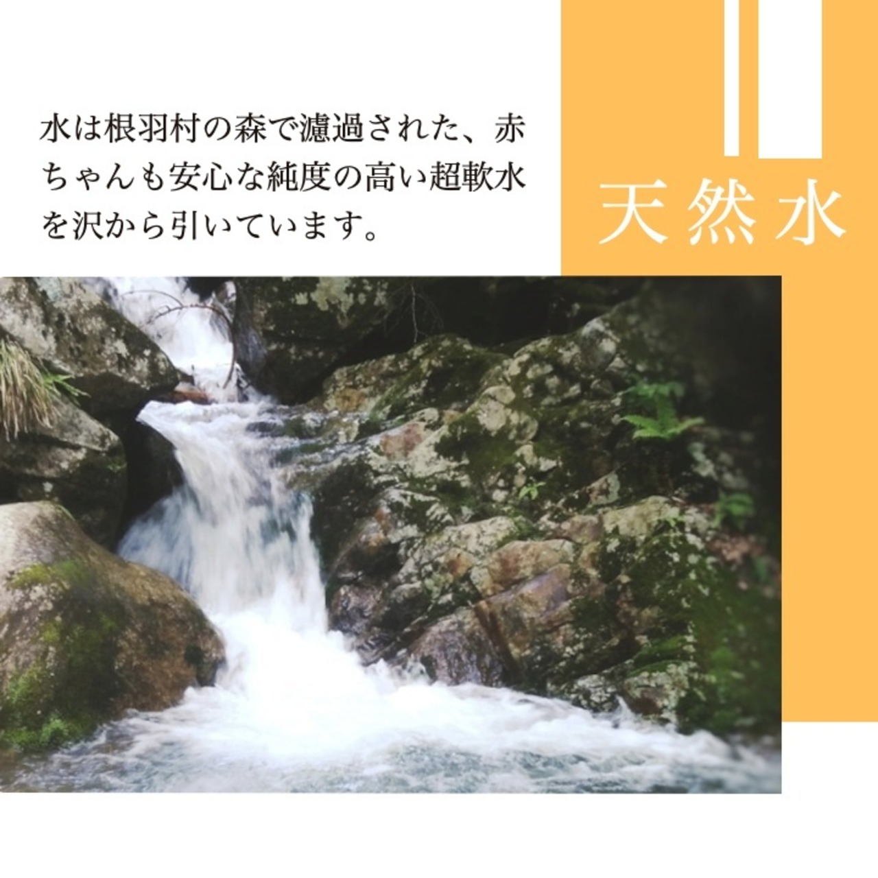 完熟の旨み。南信州の純ピューレ 「無添加トマトピューレ」 ｜ 小林農園