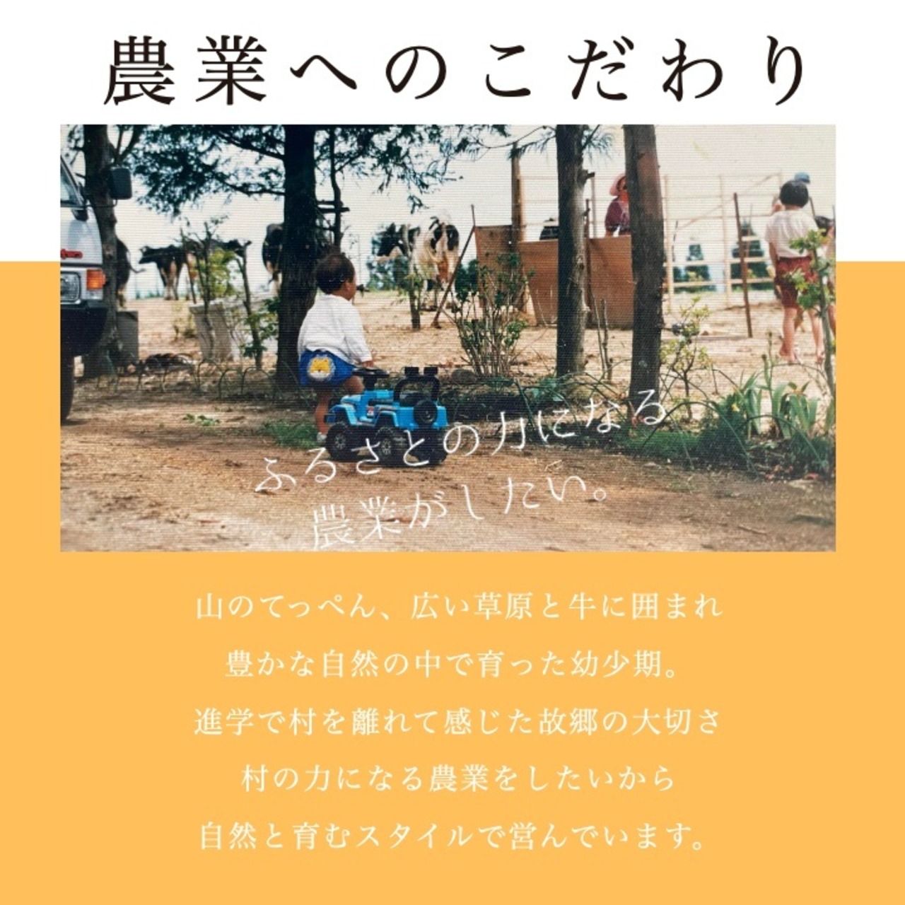 完熟の旨み。南信州の純ピューレ 「無添加トマトピューレ」 ｜ 小林農園