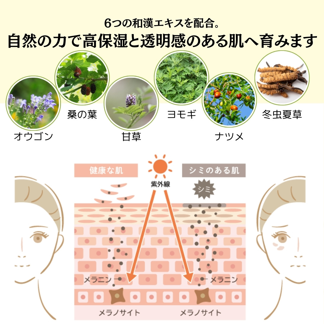 bambina竹白 和漢 保湿ミルク 50g