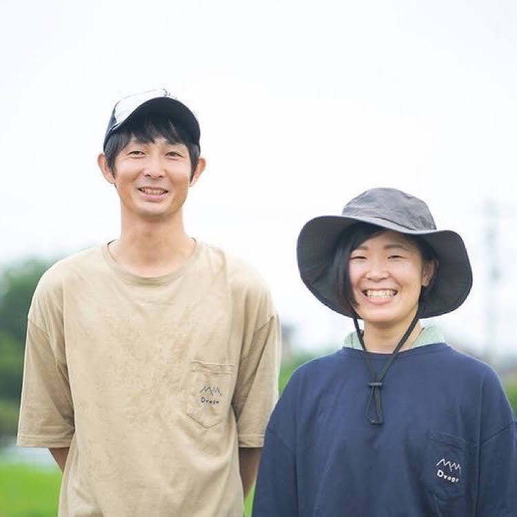 【農薬・化学肥料不使用】自然の恵みをそのまま食卓へ。Dvegeセット