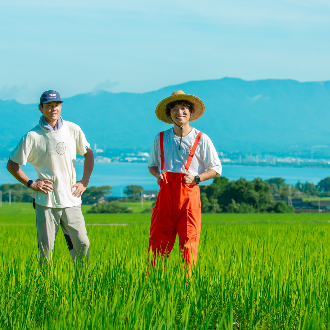 知る人ぞ知る素朴な味わい 新潟県佐渡産 自然栽培 『亀の尾』玄米 5kg