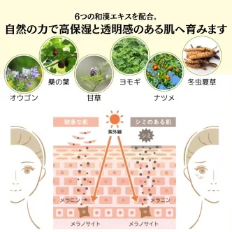 bambina竹白 和漢 保湿ミルク 50g｜bambina365