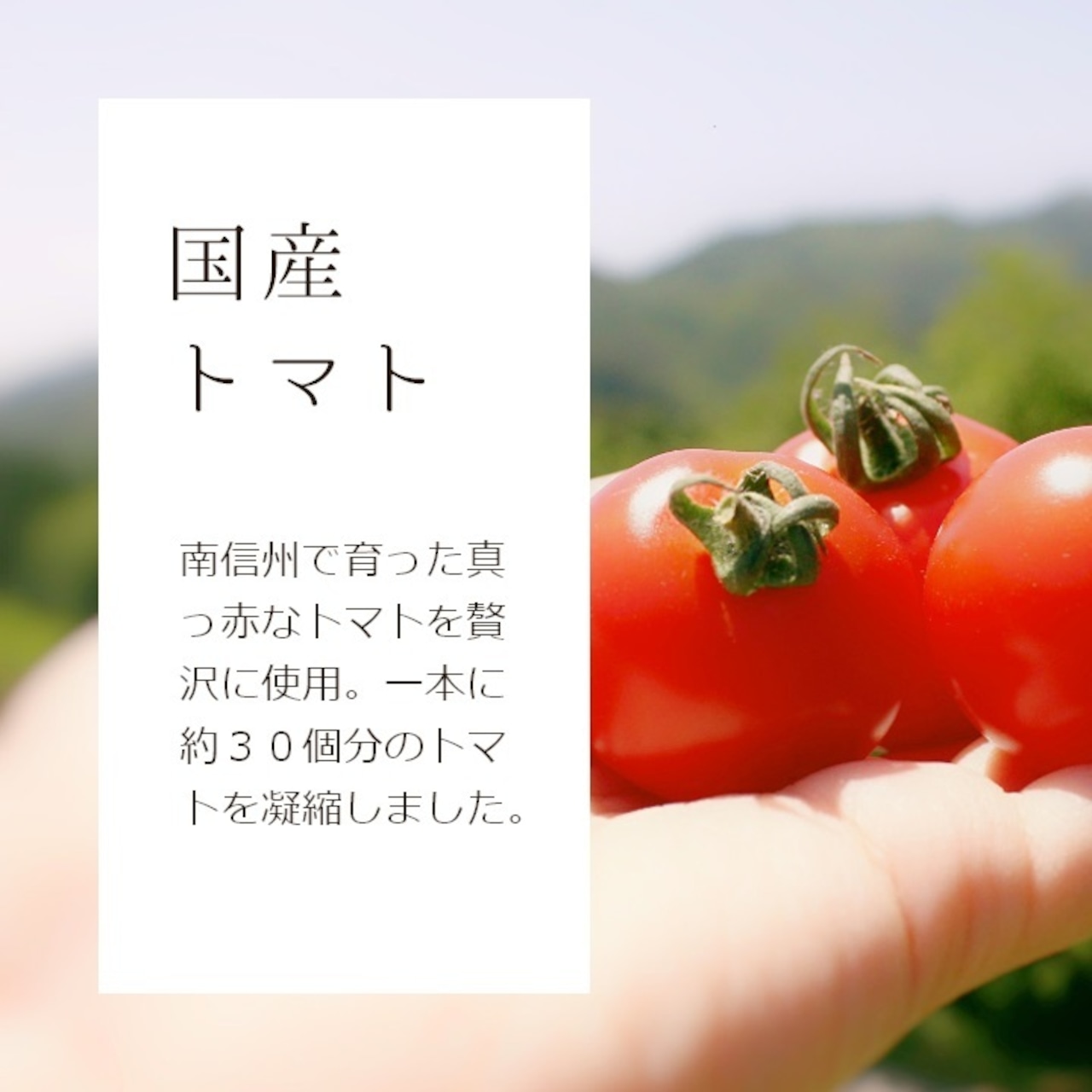 【野菜ソムリエサミット金賞】南信州の完熟・無添加トマトジュース Frutika Rich ｜ 小林農園