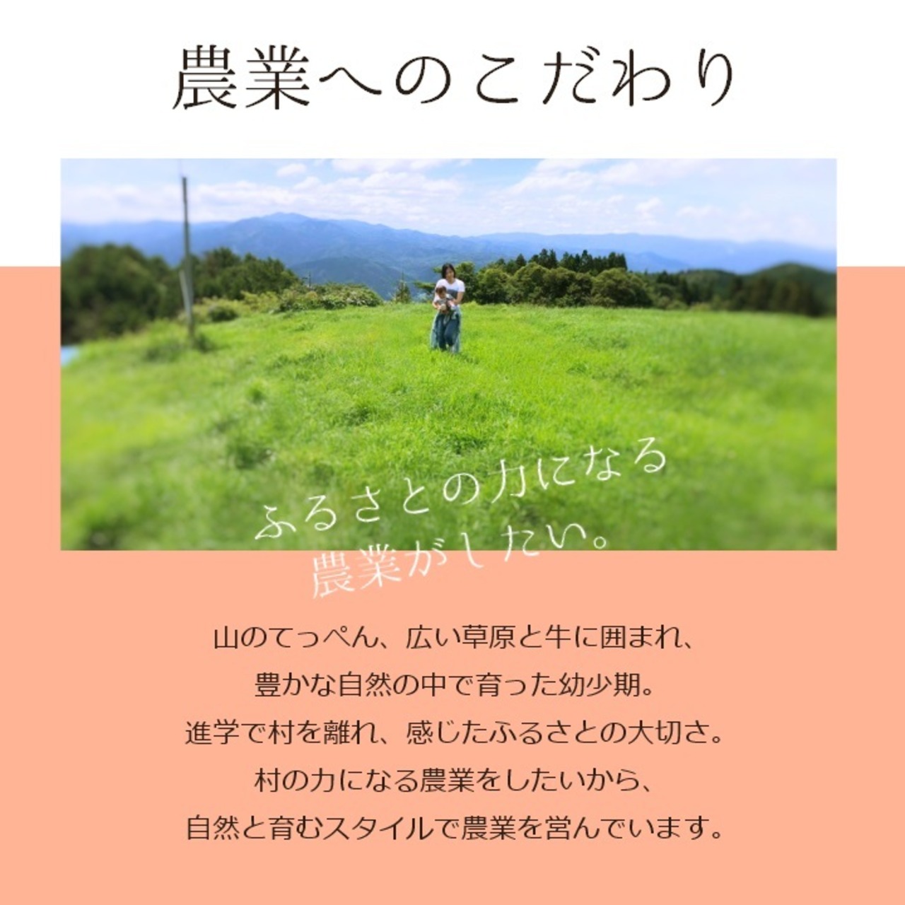 【野菜ソムリエサミット金賞】南信州の完熟・無添加トマトジュース Frutika Rich ｜ 小林農園