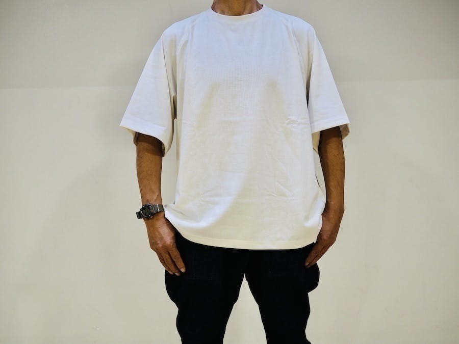 Regeneration TEE