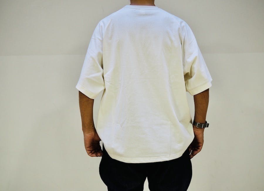 Regeneration TEE