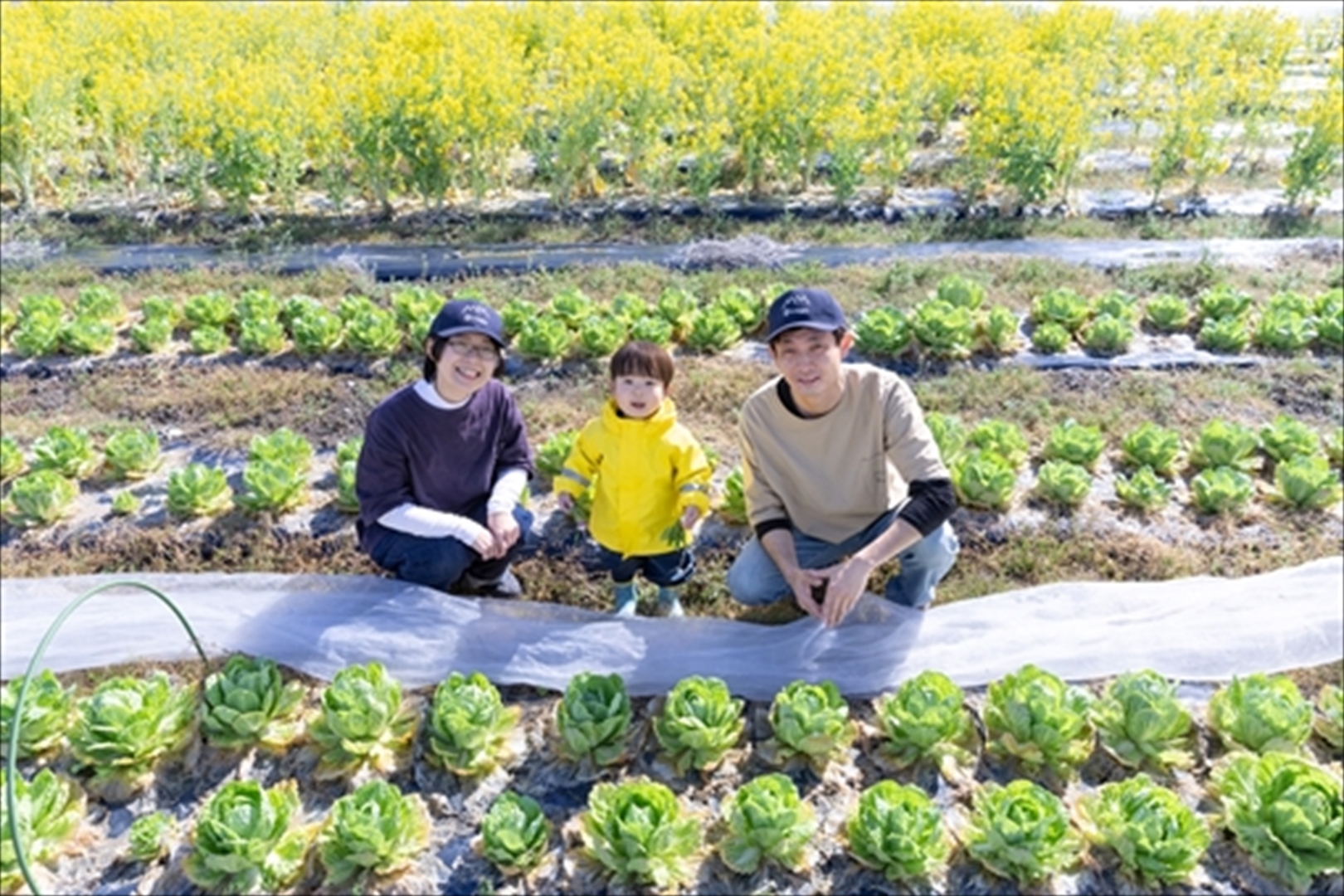 【農薬・化学肥料不使用】季節の野菜詰め合わせ