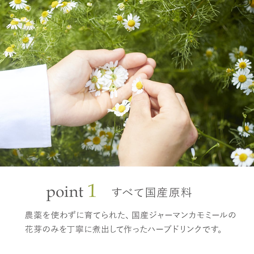 華密恋ドリンク（10本入）