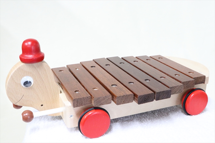 ぶなの木　カメさんシロホン