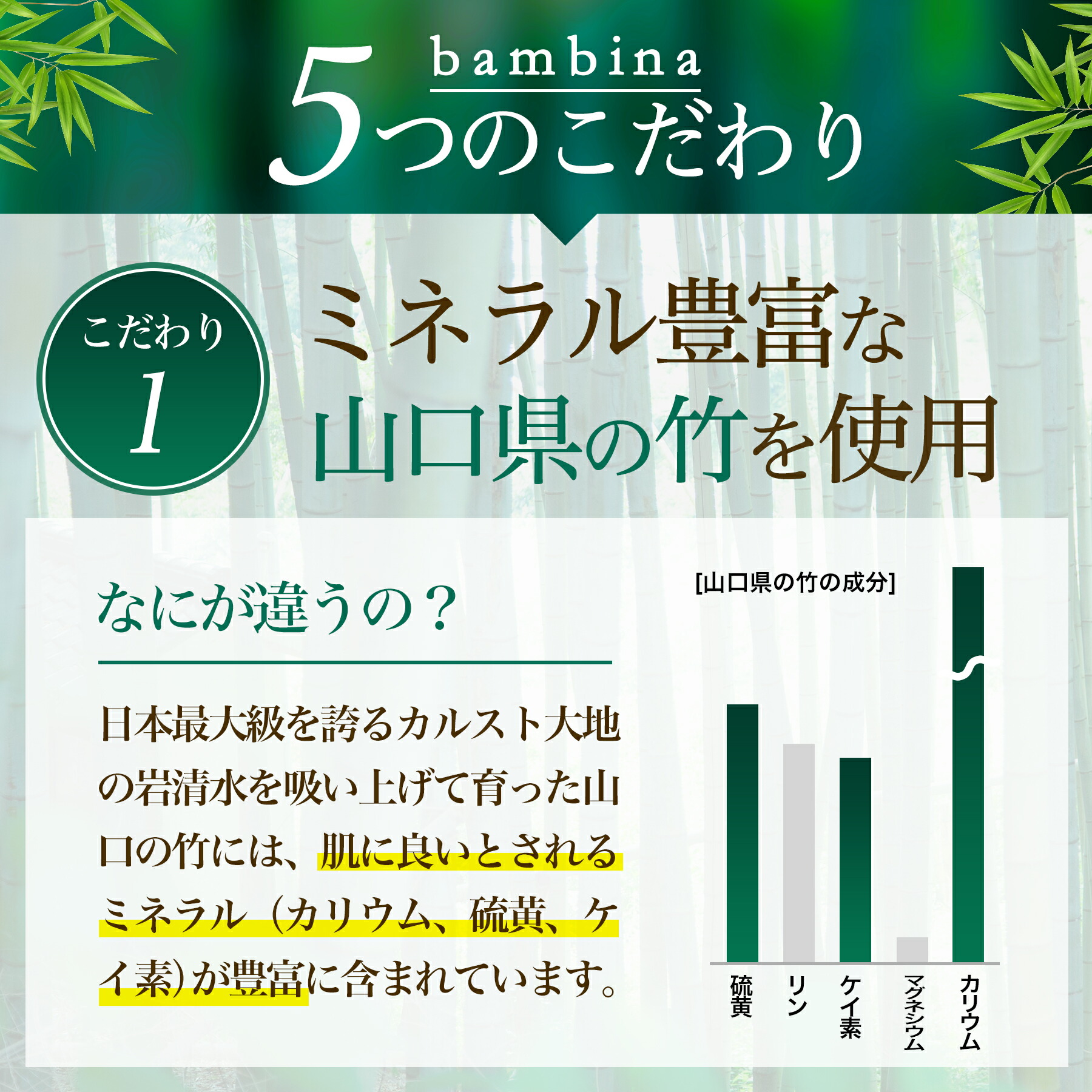 bambinaミネラルフォーミングウォッシュ
