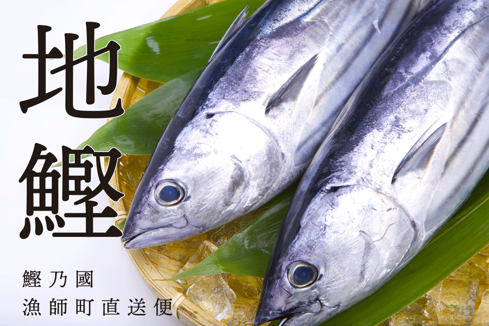 ［送料無料］地元高知人も、これは美味い！とうならせる！一本釣り地鰹の藁焼きタタキ（旬凍）