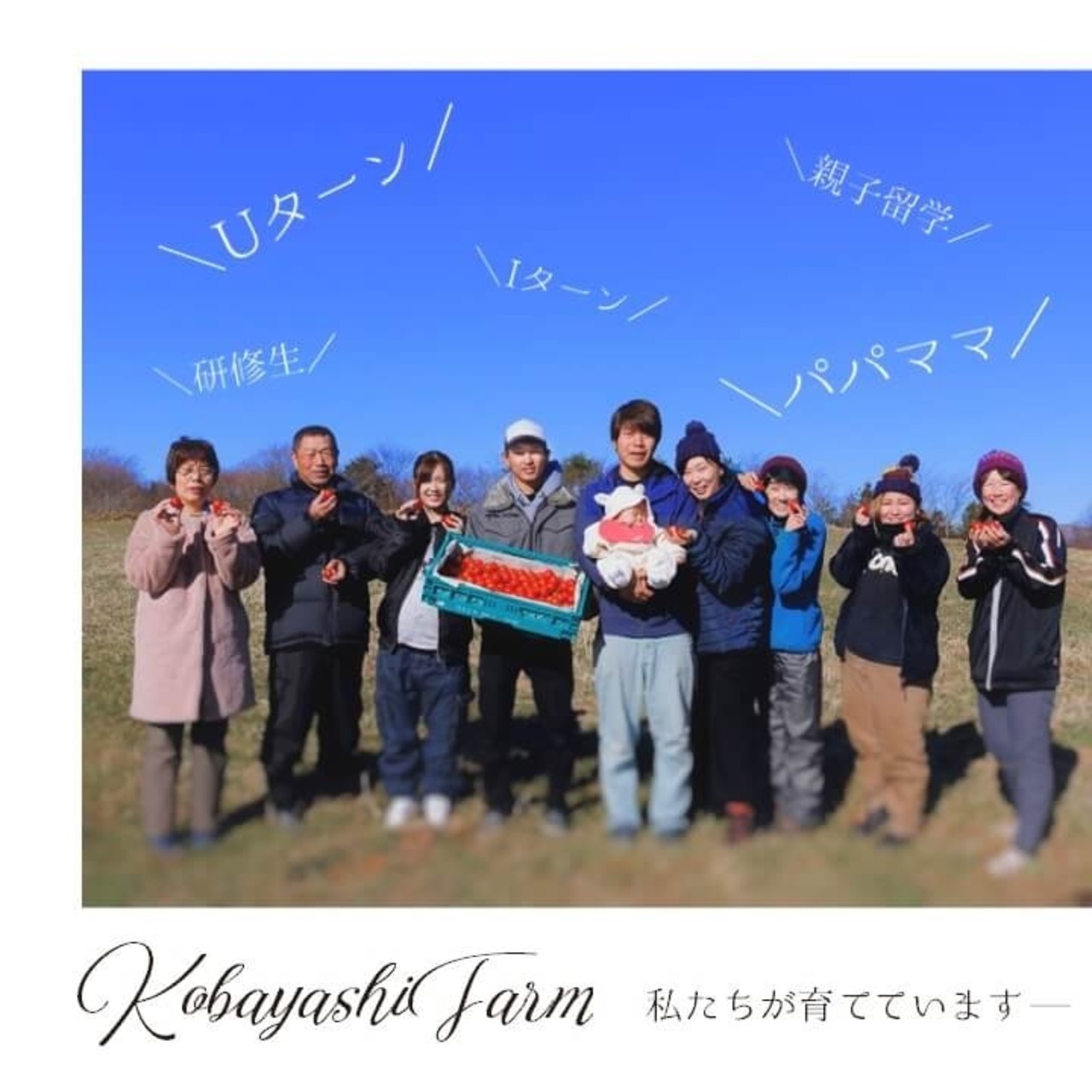 【無添加】さらり、甘い。南信州の完熟トマトジュース Frutika 100%｜小林農園