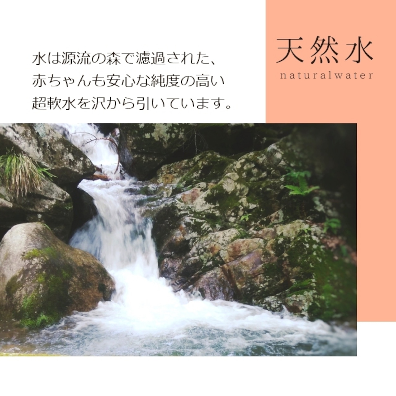 【無添加】さらり、甘い。南信州の完熟トマトジュース Frutika 100%｜小林農園