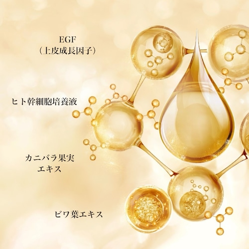 Seduce シグネチャーディープモイストローション