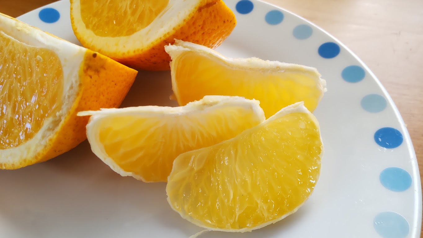 【農薬、肥料・除草剤不使用】　おてんと様のはっさく