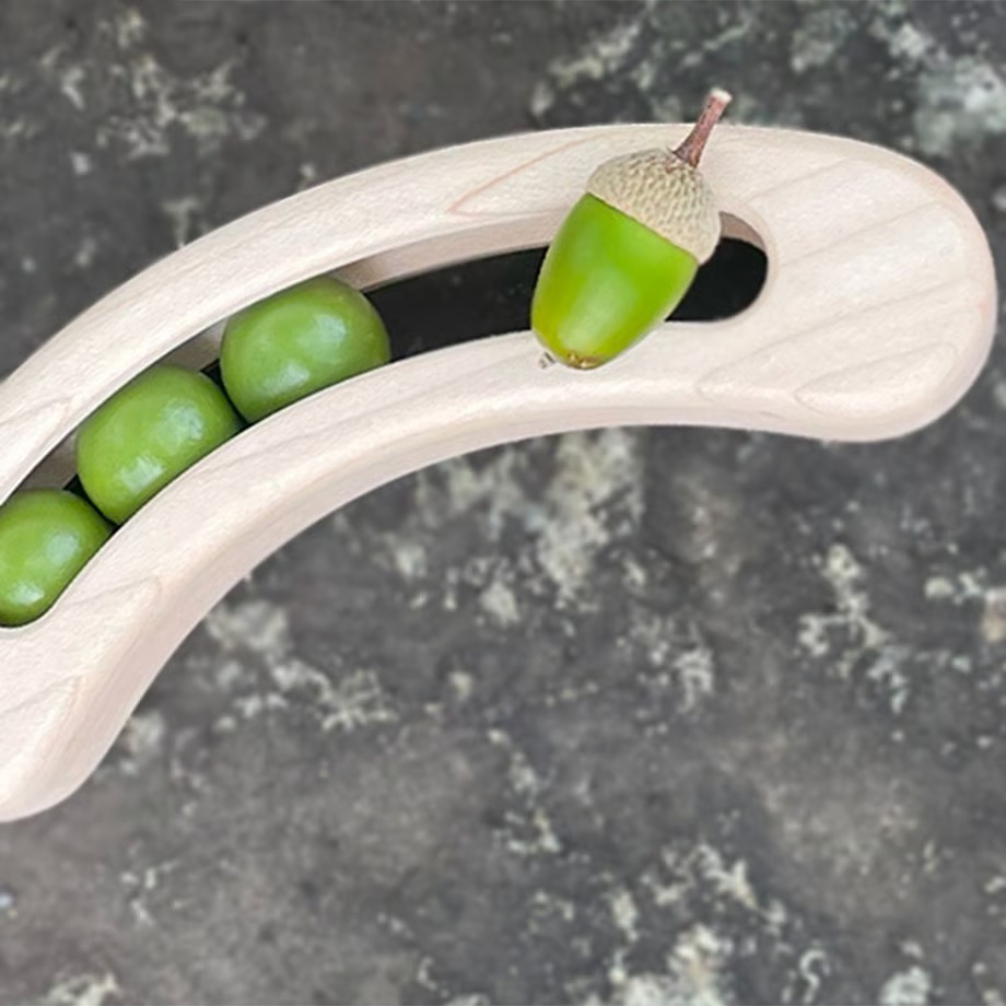 FAVA ファーヴァ 木のお豆ラトル