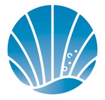 Shell cycle Project
