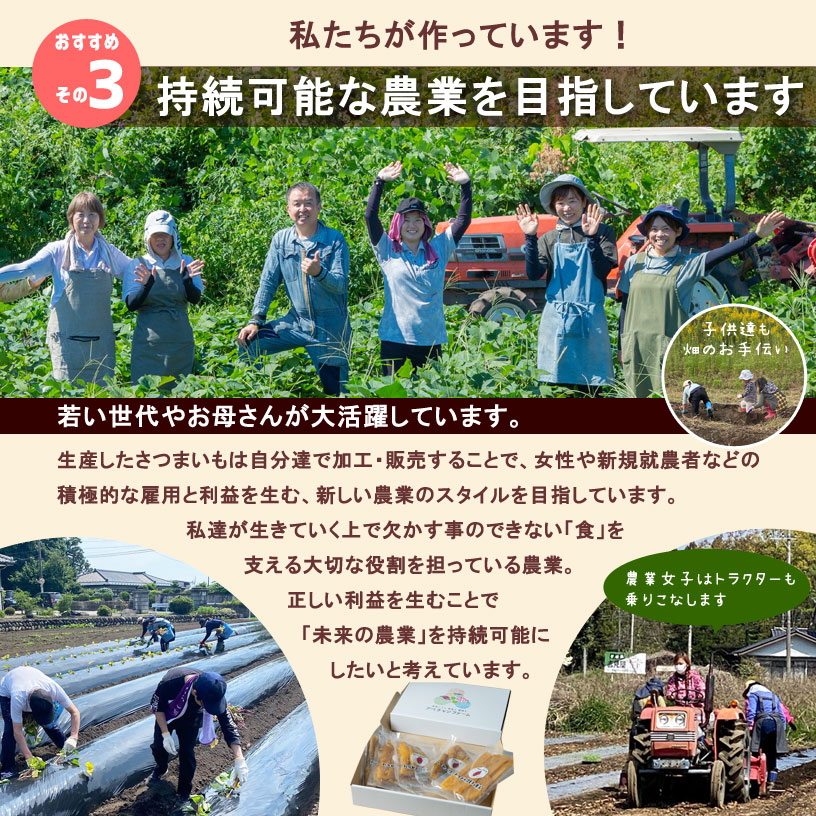 おすすめセットNo.1 （平干し芋2袋＋丸干し芋2袋＋冷やし焼き芋1本）