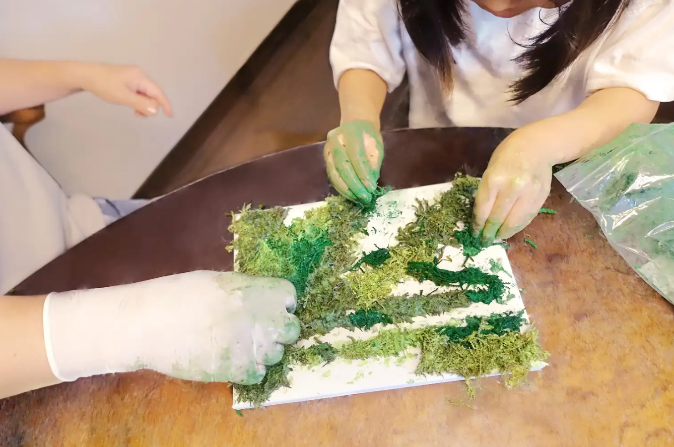 【植物性塗料×サステナブル】コケヌル｜NIKKEN