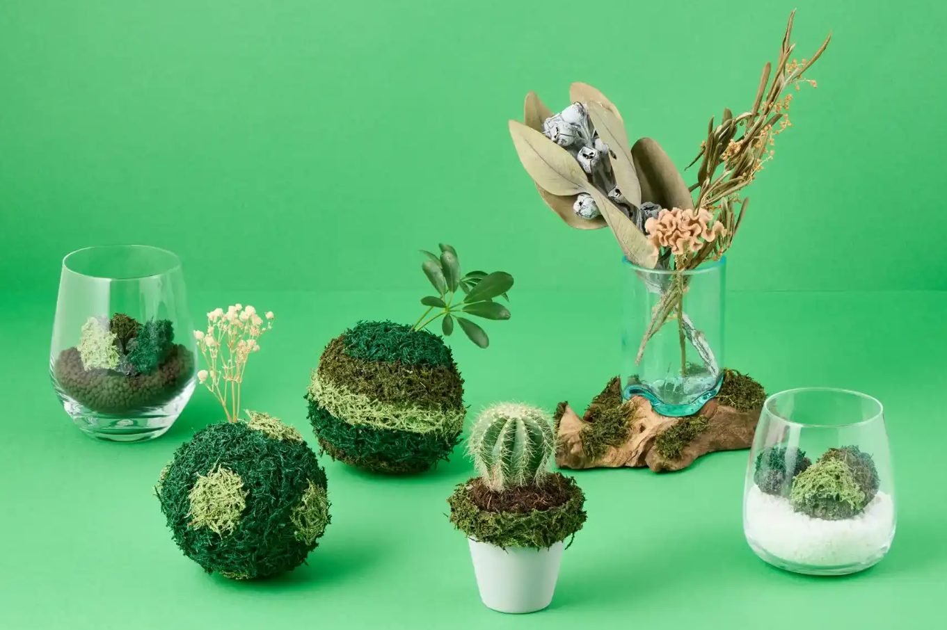 【植物性塗料×サステナブル】コケヌル｜NIKKEN