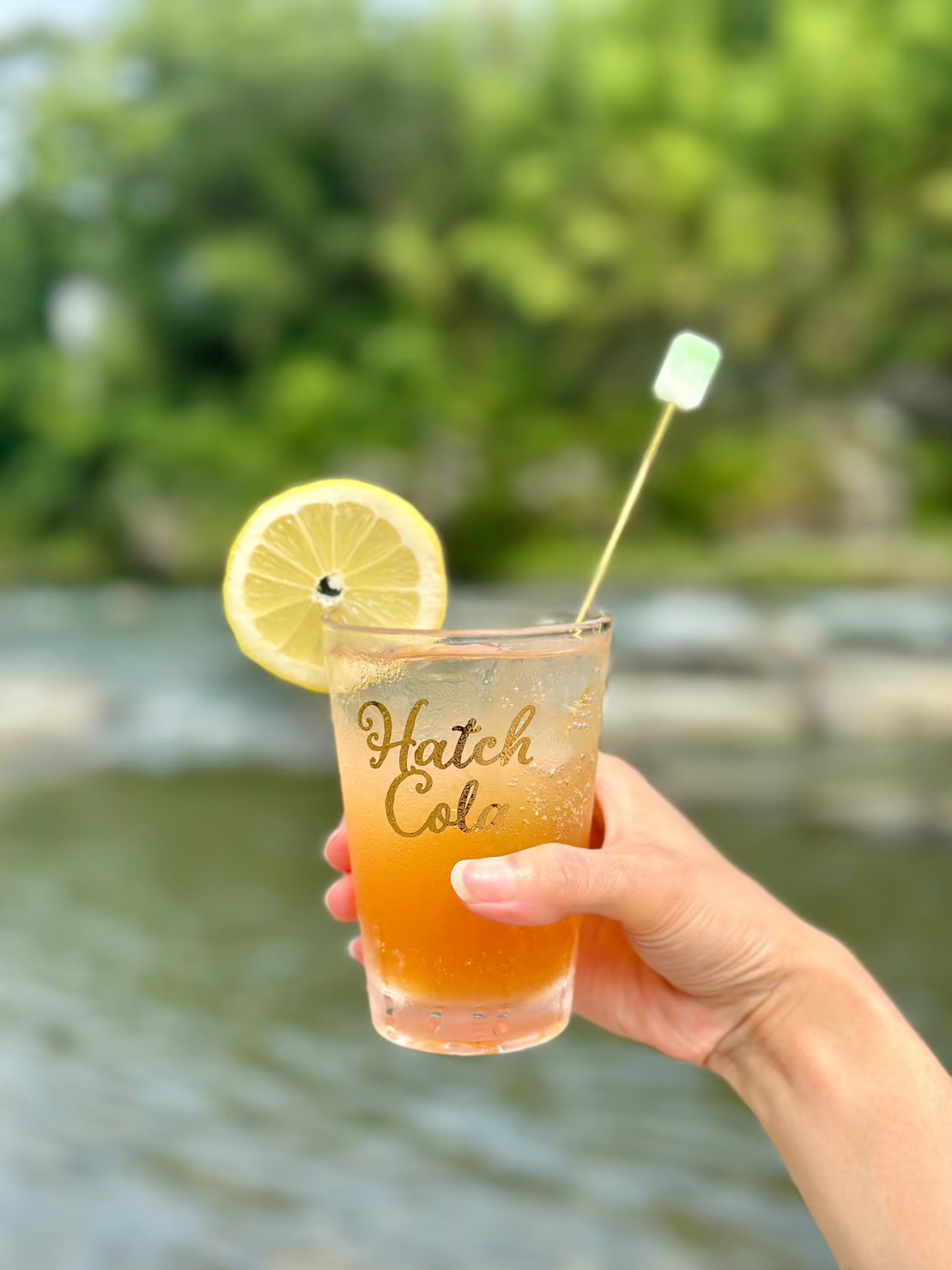 Hatch Cola シロップ瓶 2種飲み比べギフトセット