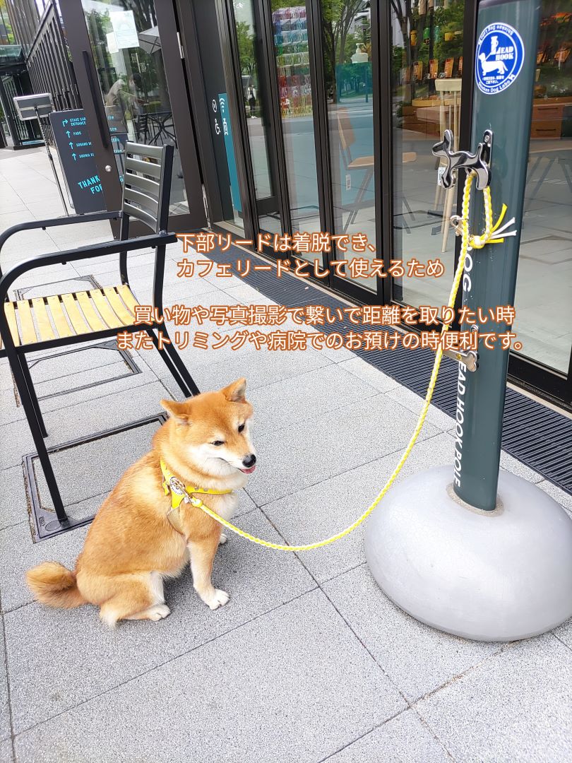 使い方いろいろ！お花付きハンズフリーリード(ブラック)