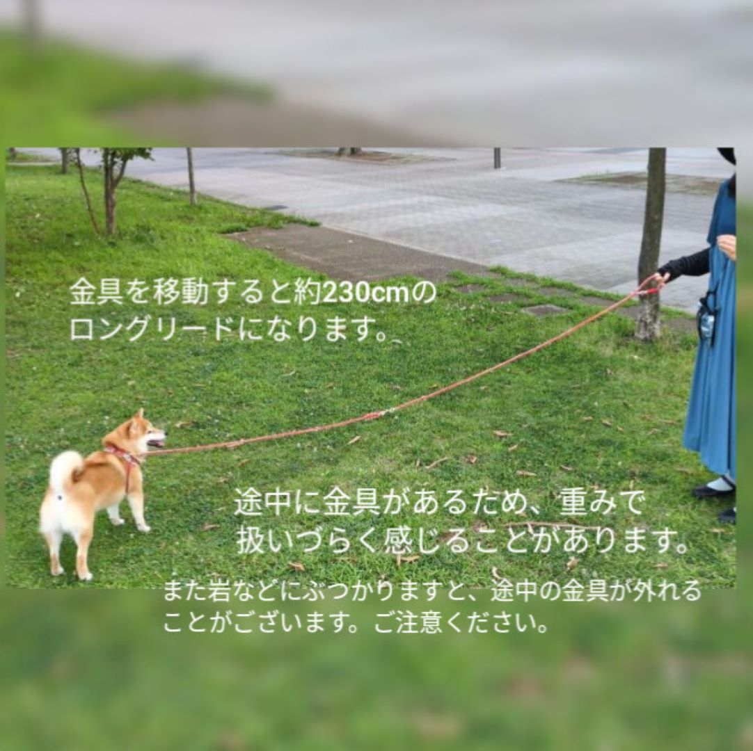 使い方いろいろ！お花付きハンズフリーリード(ブラック)