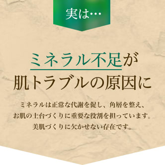 bambinaミネラルフォーミングウォッシュ｜bambina365