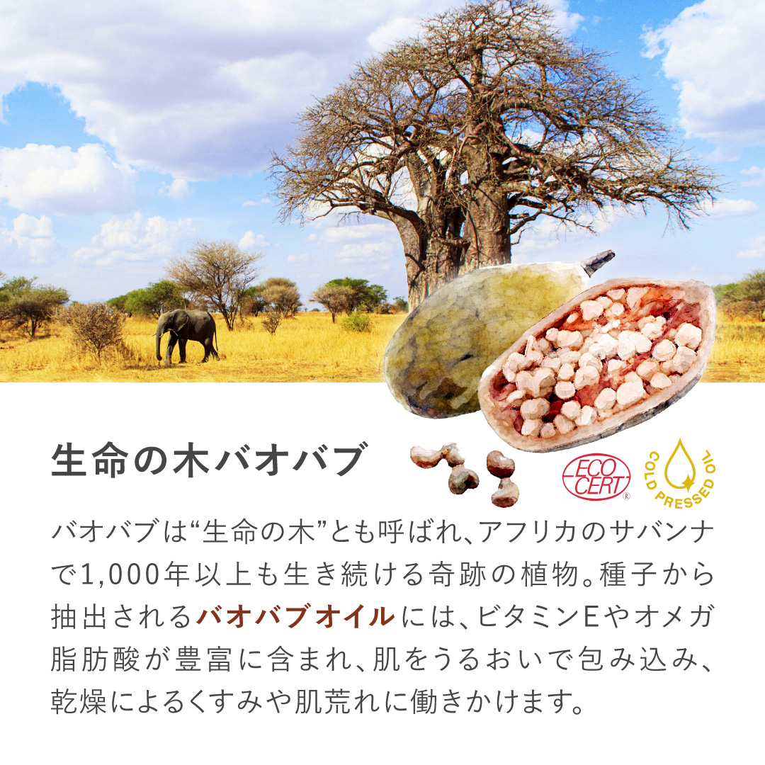 エミィ バオバブ美容オイル