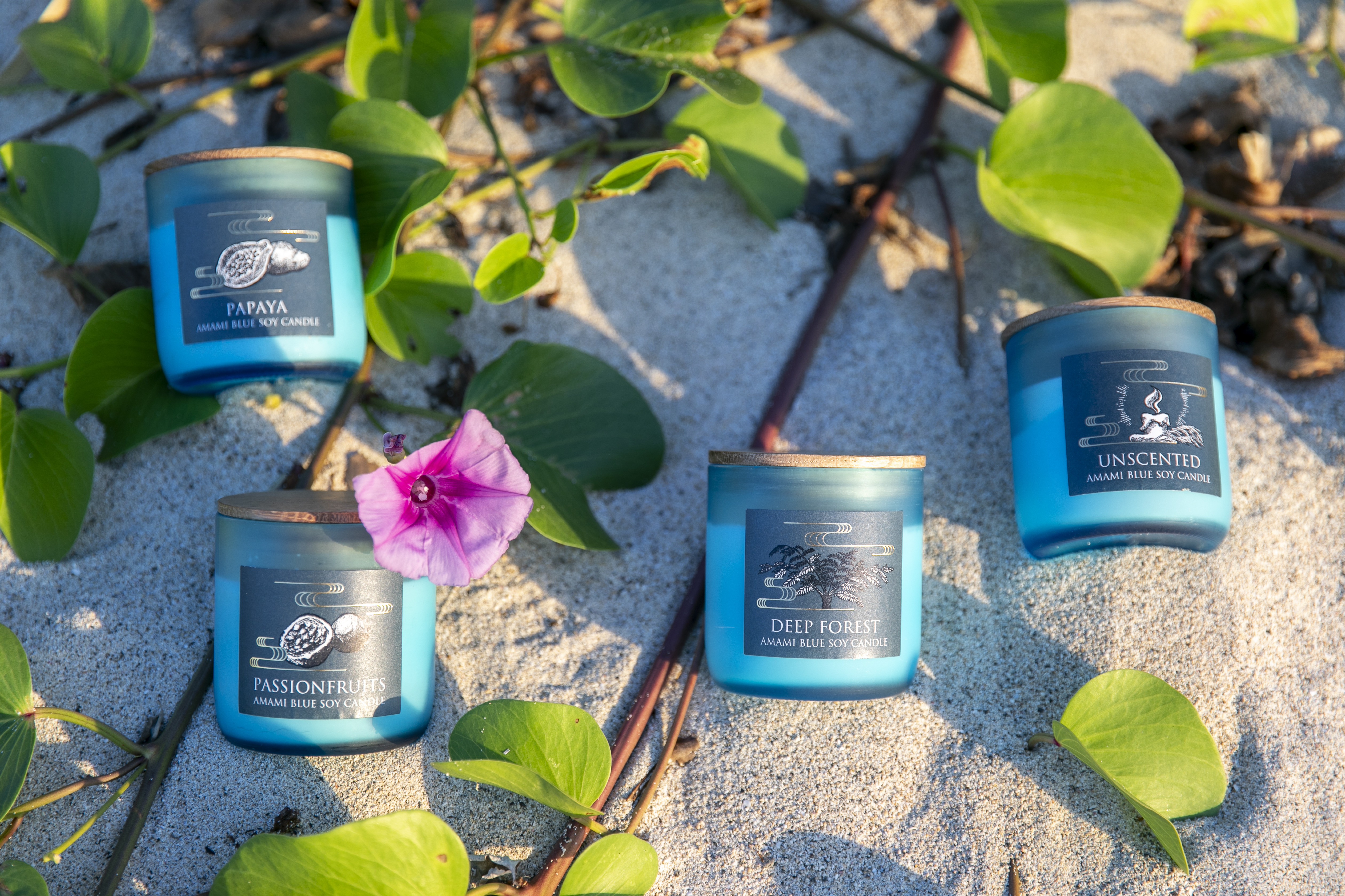 【ボックス入り】AMAMI BLUE SOY CANDLE（アロマキャンドル全7種）｜TsumugiCandle