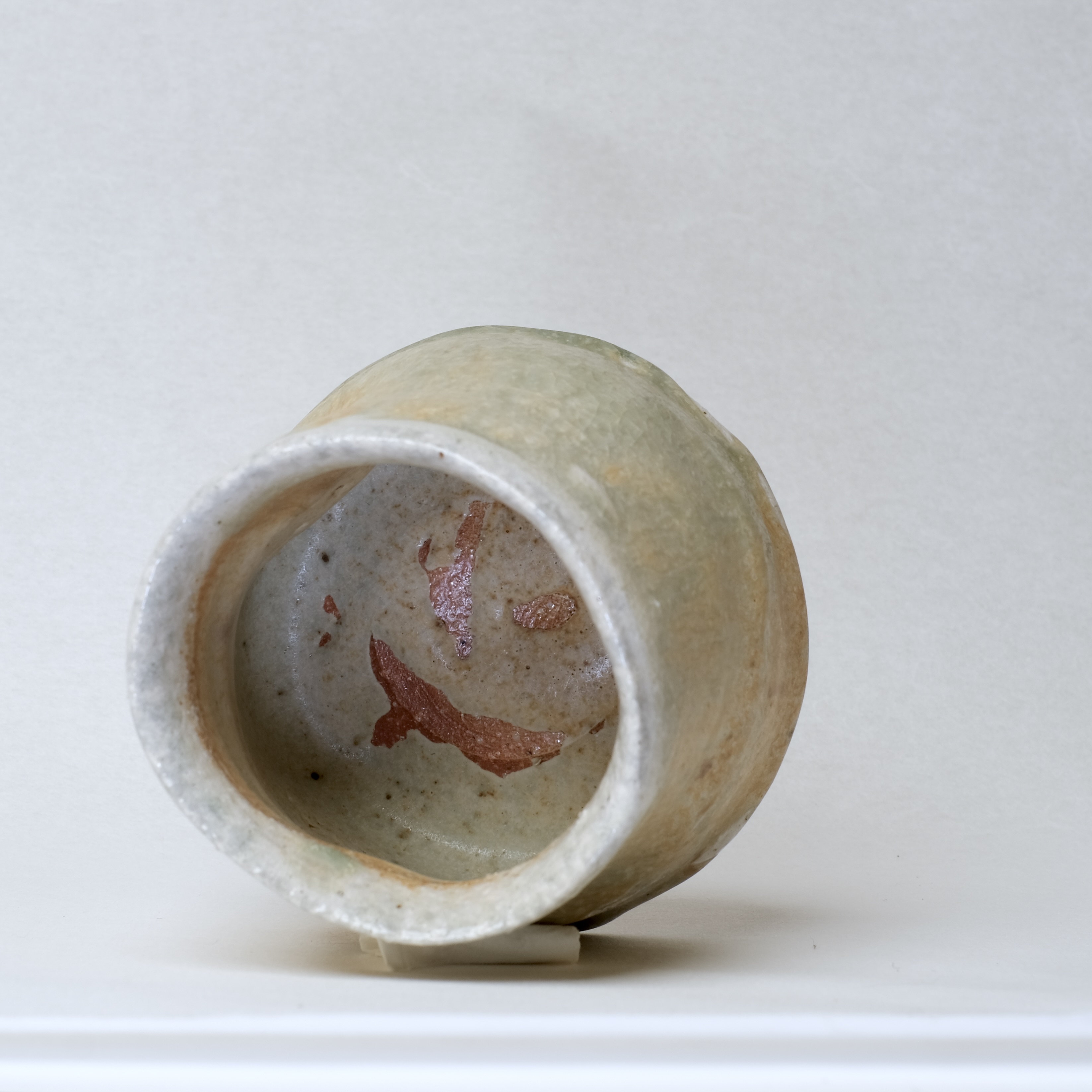 Lecanora Color cup