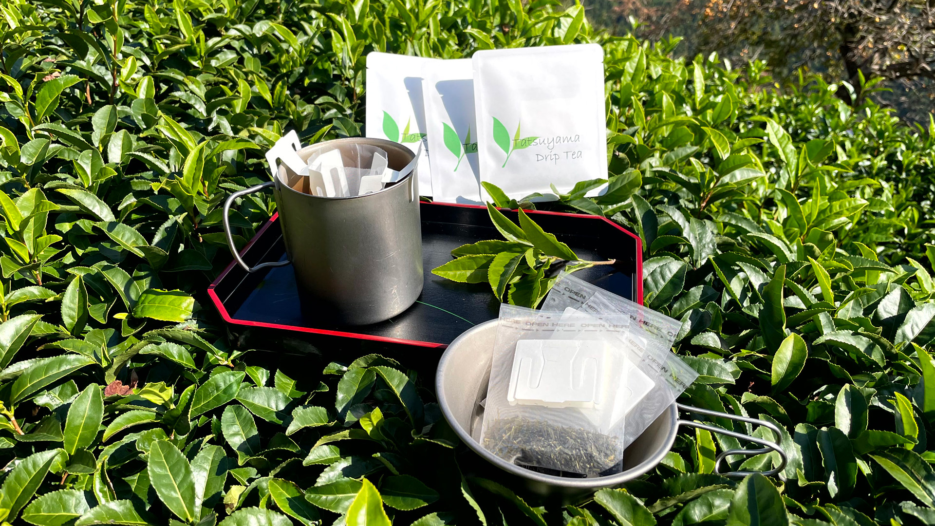龍山茶 DripTea