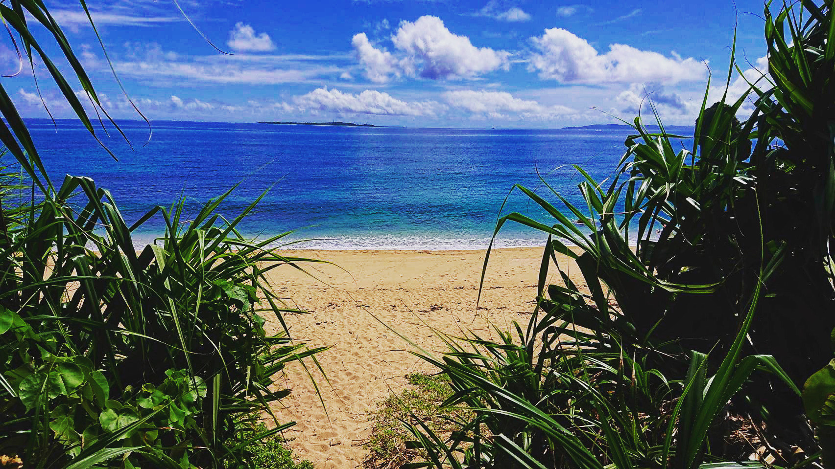 月塩３種　お試しサイズセット