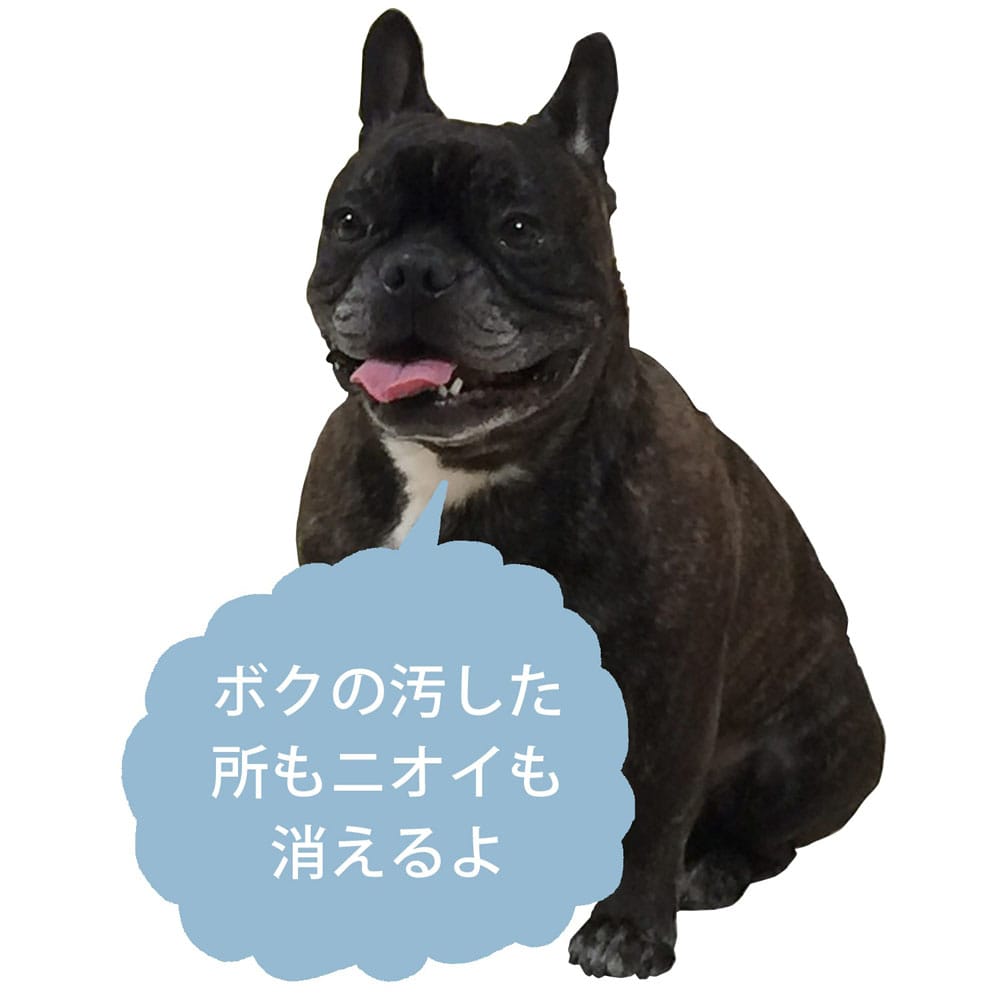 Dr. Beckmann/ドクター ベックマン　カーペット　ステインリムーバー