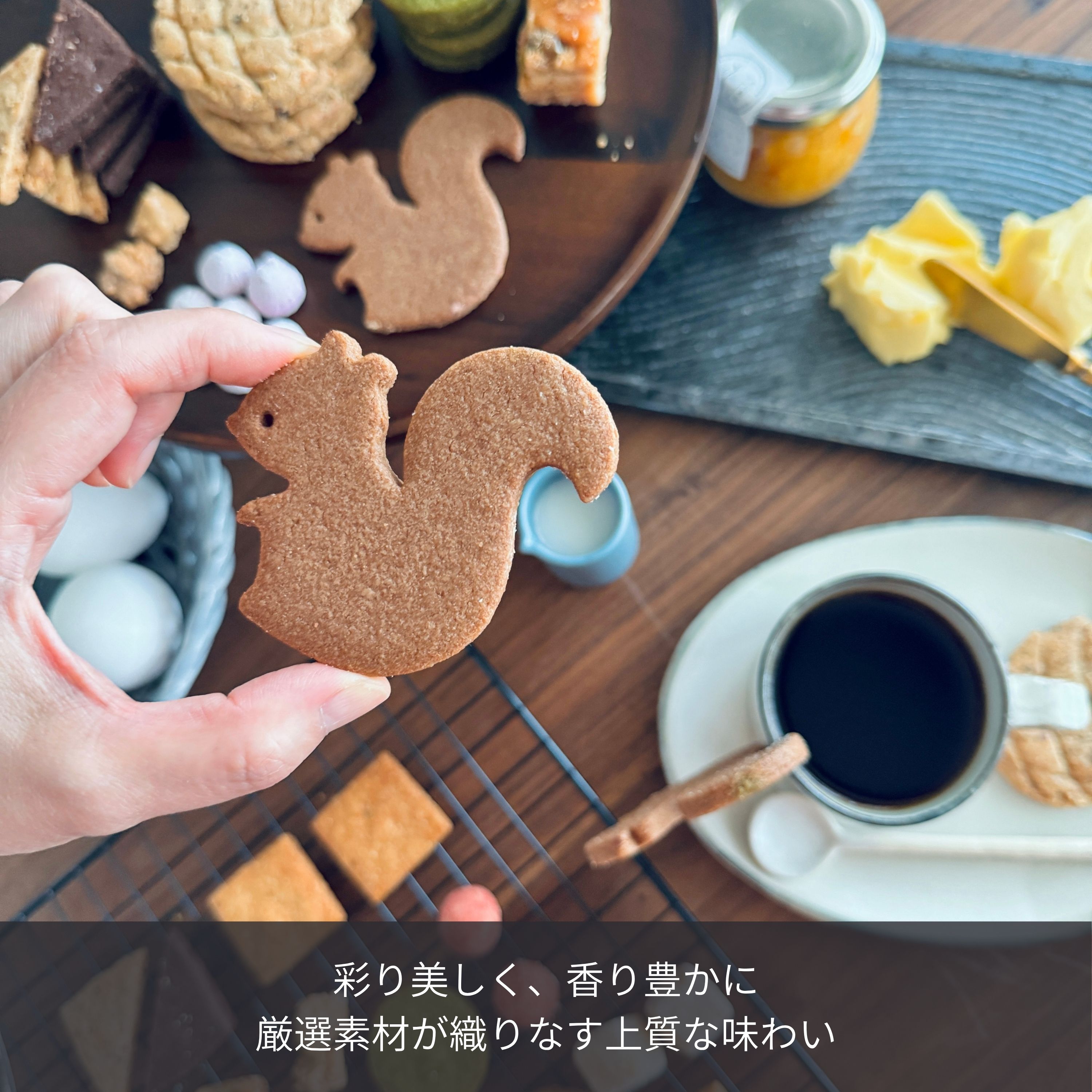 リスと戯れる森のクッキー缶｜e℃