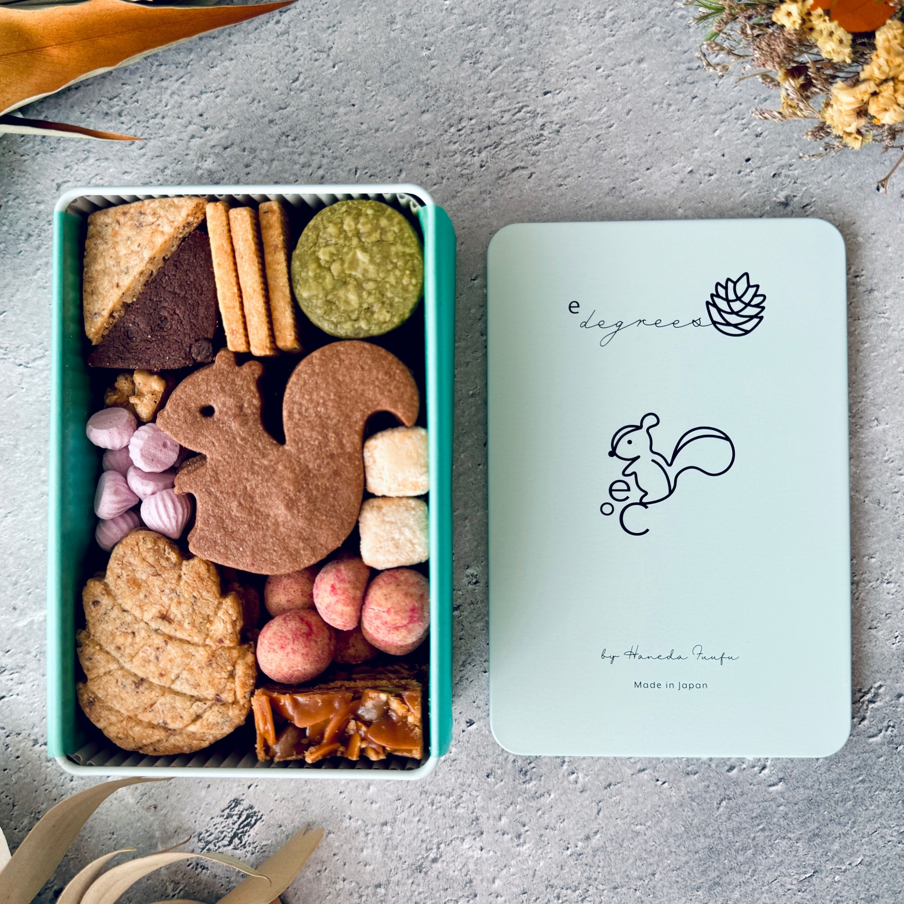 リスと戯れる森のクッキー缶｜e℃