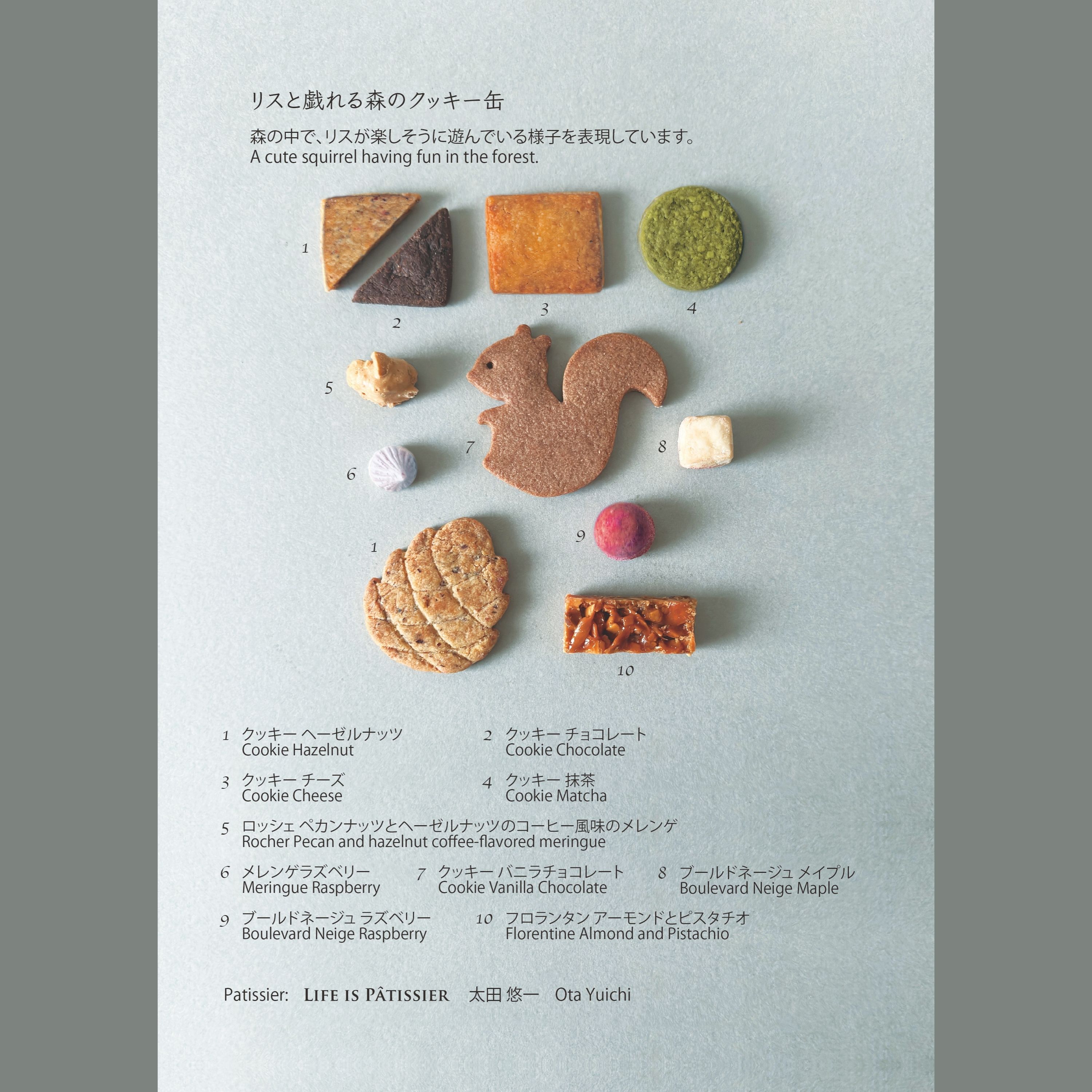 リスと戯れる森のクッキー缶｜e℃