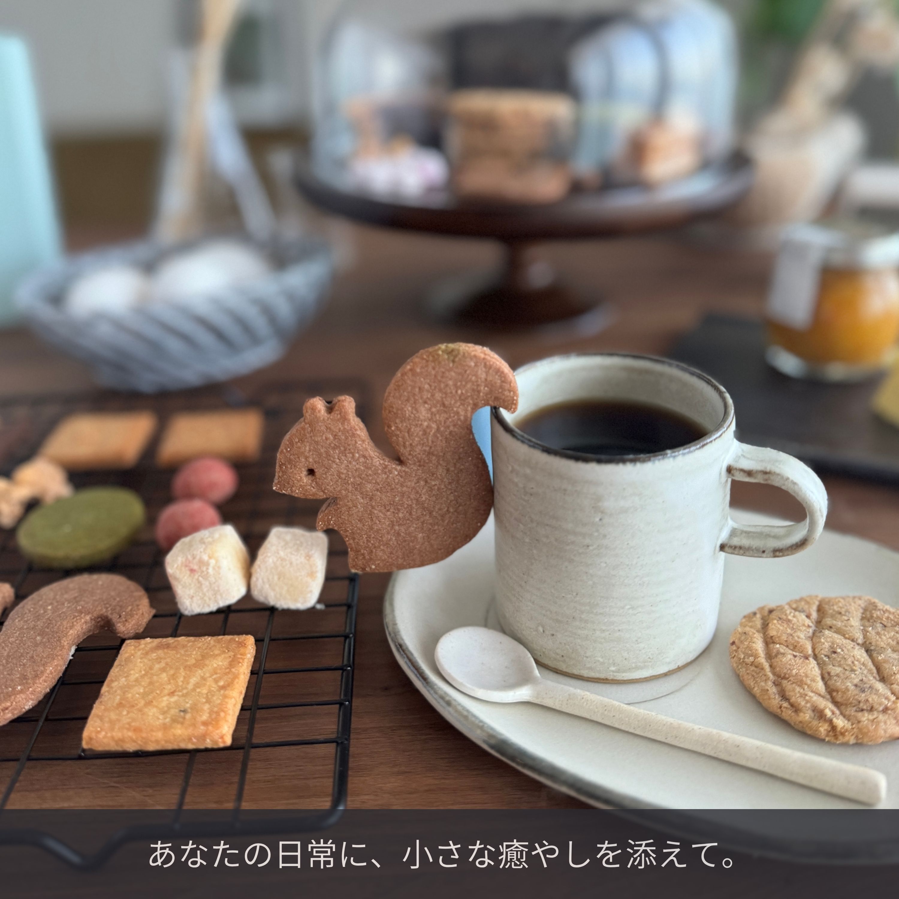 リスと戯れる森のクッキー缶｜e℃
