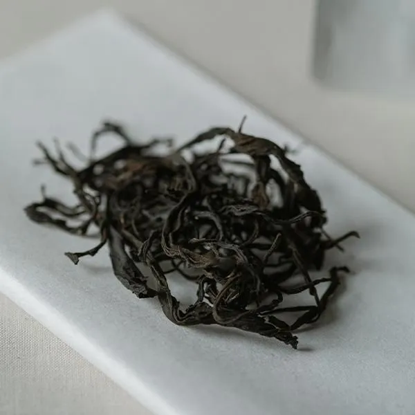 台湾原種を継ぐ、幻の和紅茶「F4」 「自然生態茶（F4紅茶）」｜Jikonka