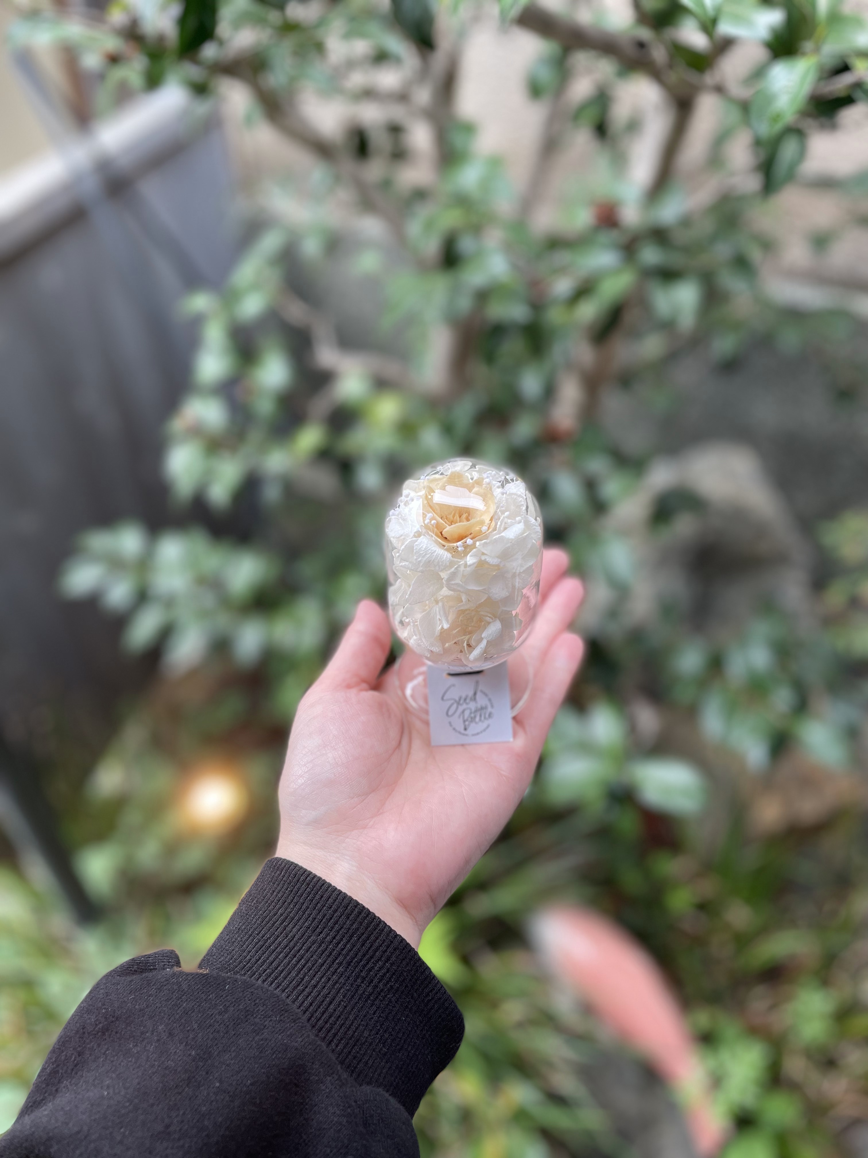 天球bottle flowers S