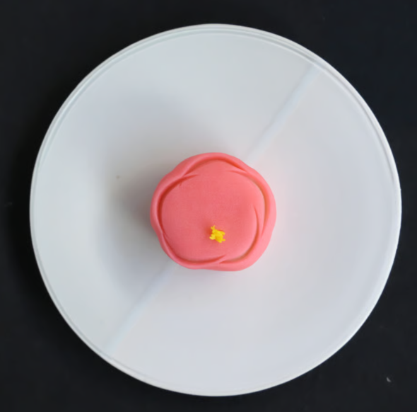 flat plate Kyoto[monotone]"shiroshiro"